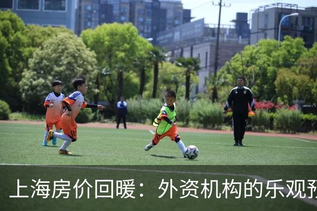 上海房价回暖：外资机构的乐观预判背后
