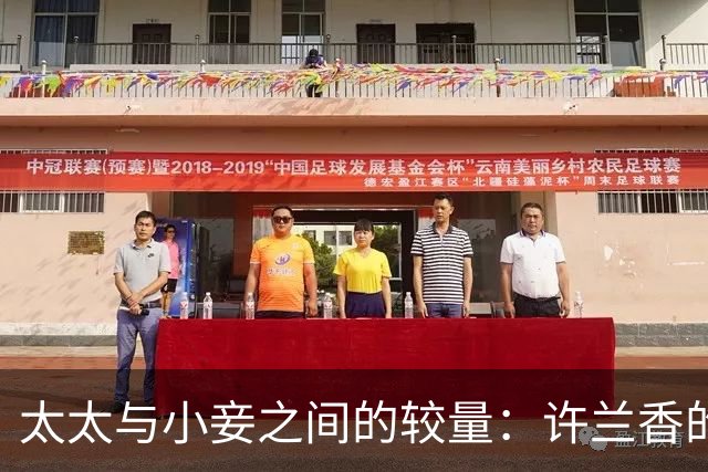 太太与小妾之间的较量：许兰香的困境与策略